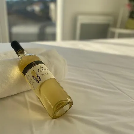 Roche Blanche - Terrasse Et Parking Lägenhet Nîmes